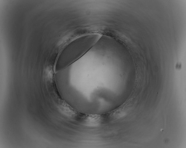 X0000096960720200802151236