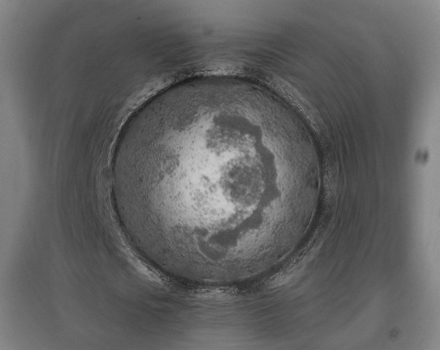 X0000096960721200802151235