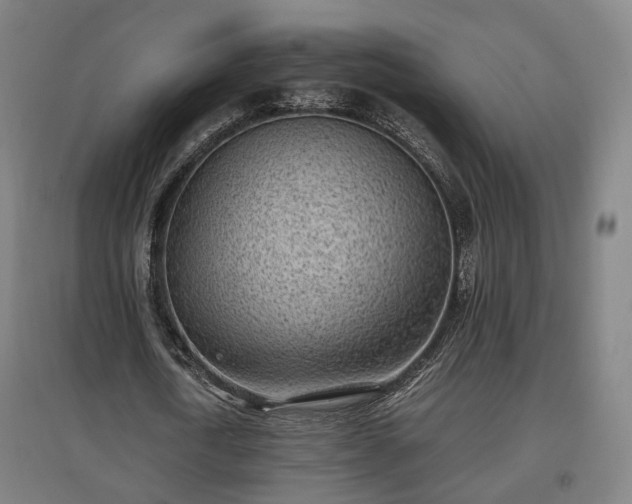 X0000096960722200802151235