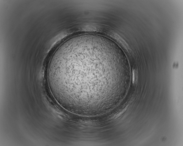 X0000096960723200802151235