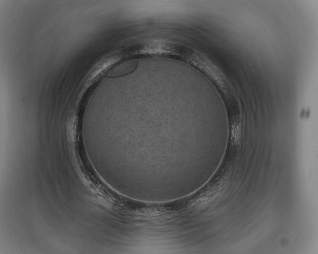 X0000096960724200802151235