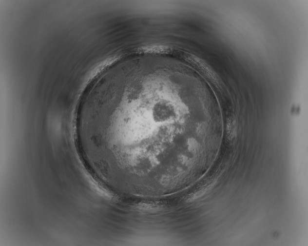 X0000096960725200802151235