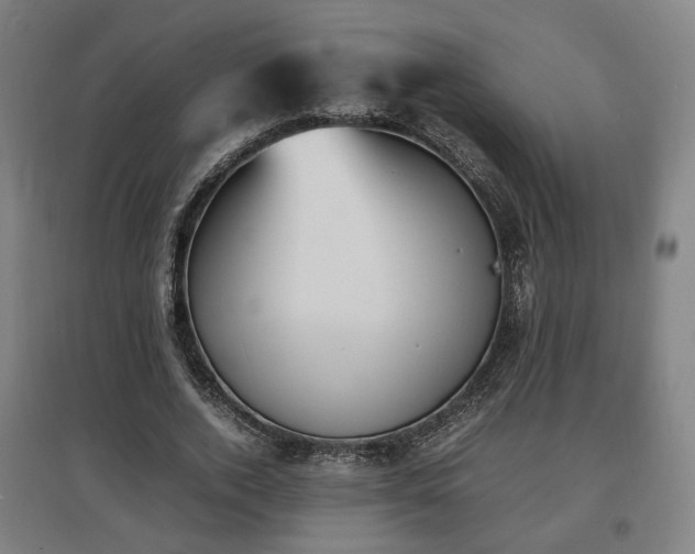 X0000096960728200802151235