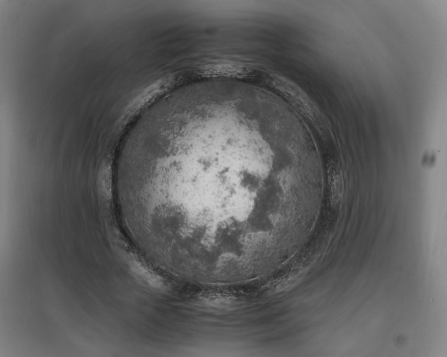 X0000096960729200802151235