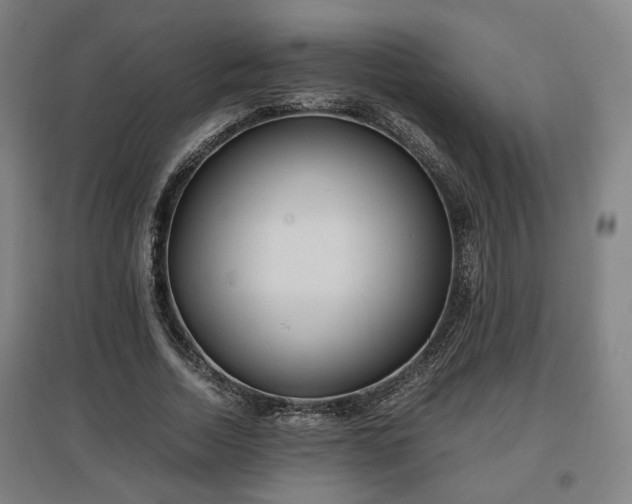 X0000096960730200802151235