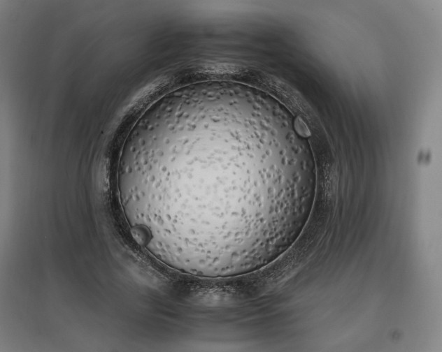 X0000096960731200802151235