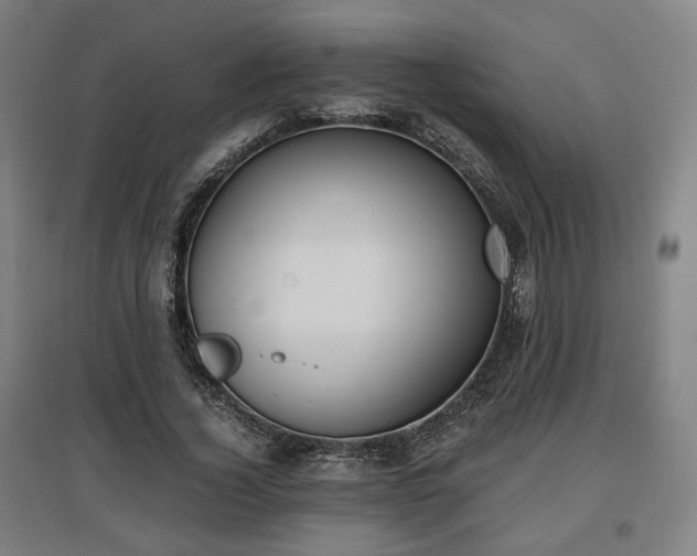 X0000096960732200802151235