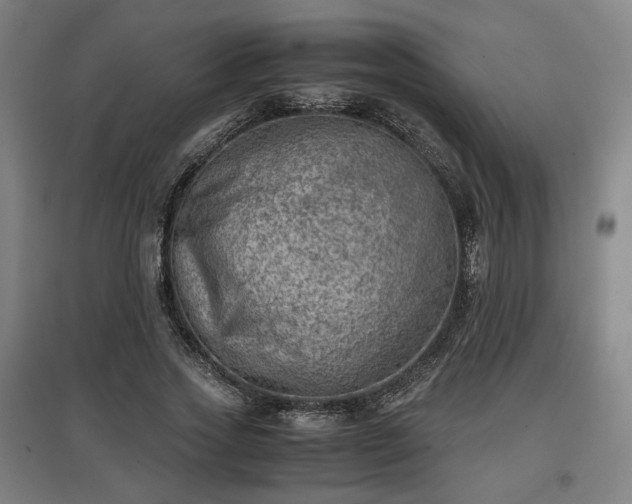 X0000096960733200802151235