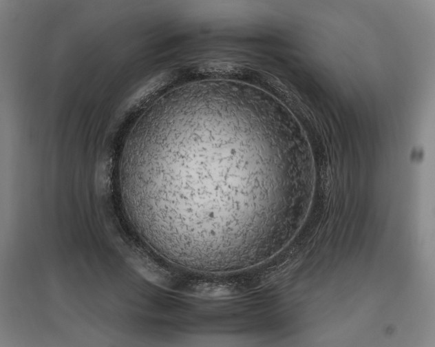 X0000096960735200802151235