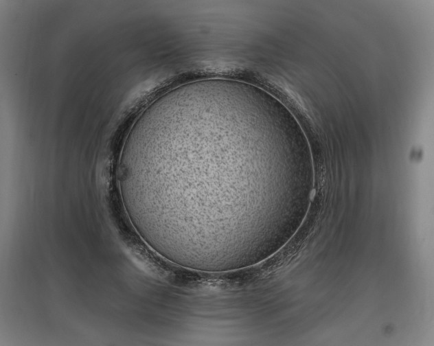 X0000096960736200802151235