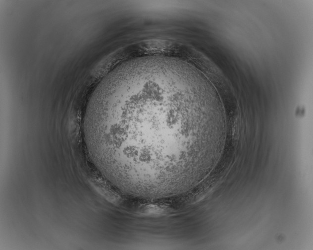 X0000096960737200802151235