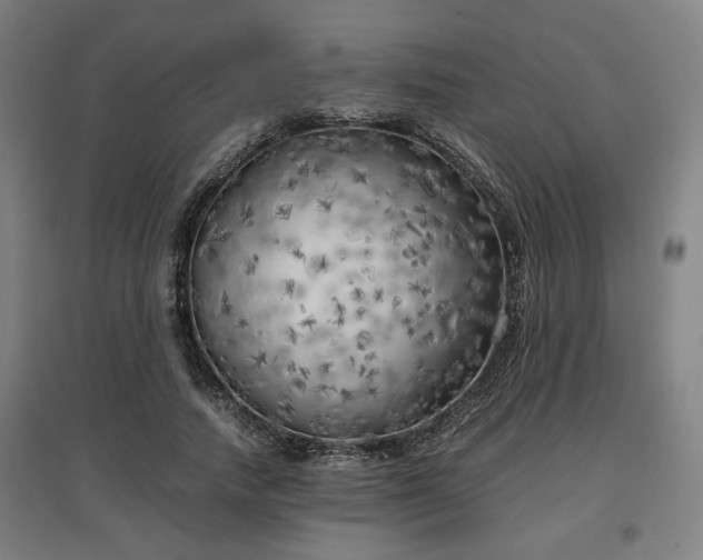 X0000096960738200802151235