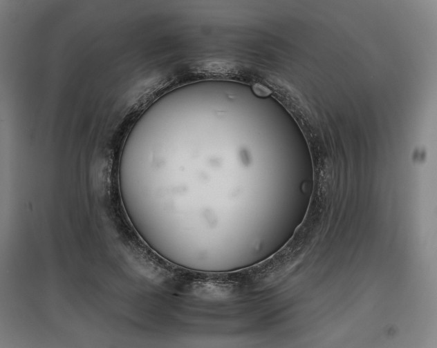 X0000096960739200802151235