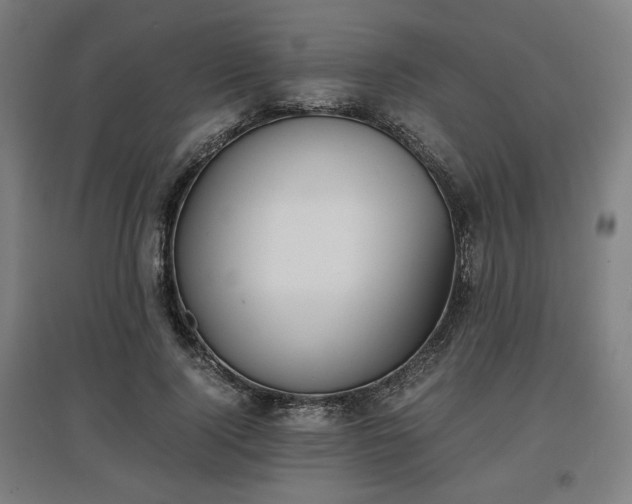 X0000096960740200802151235