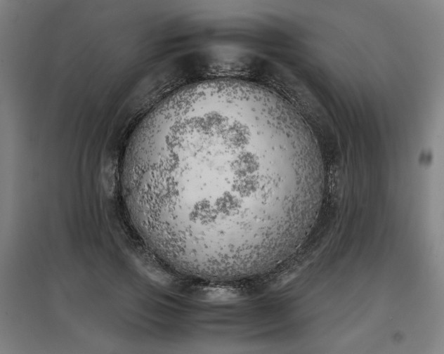 X0000096960741200802151235