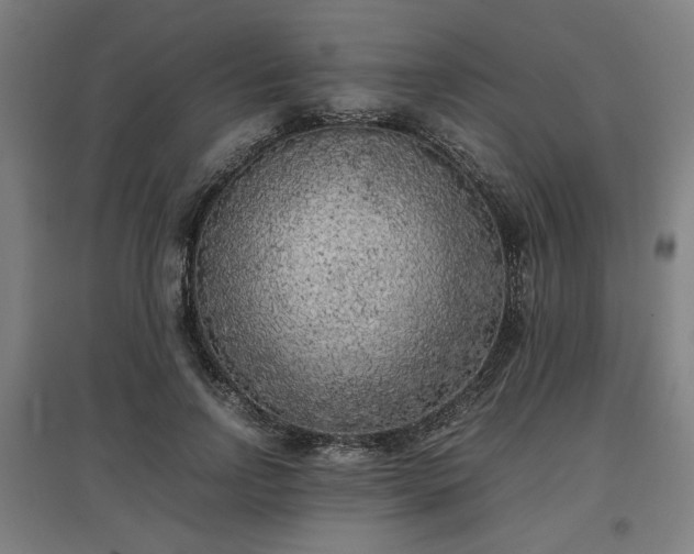 X0000096960742200802151235