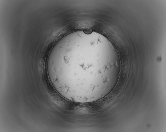 X0000096960743200802151235