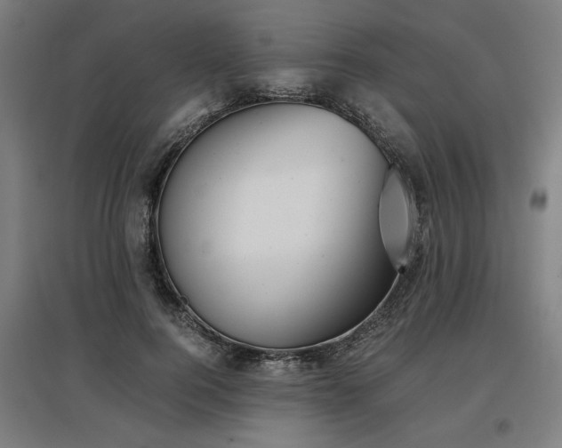 X0000096960744200802151235