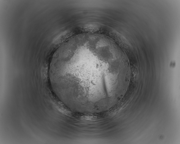 X0000096960745200802151235