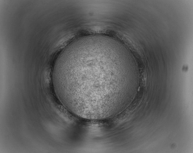 X0000096960746200802151235