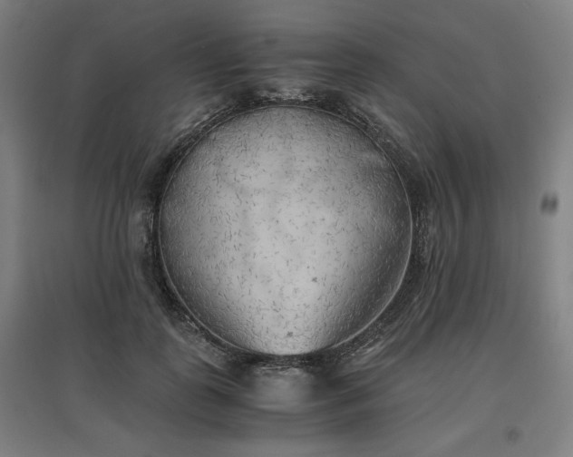 X0000096960747200802151235