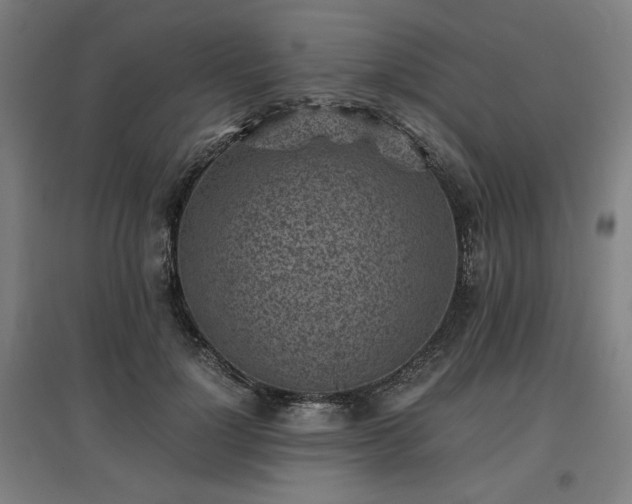 X0000096960748200802151235