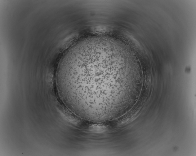 X0000096960749200802151235