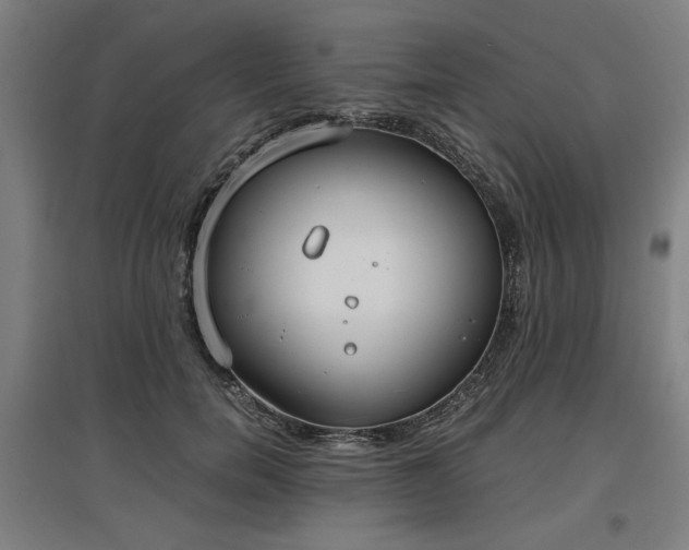 X0000096960750200802151235