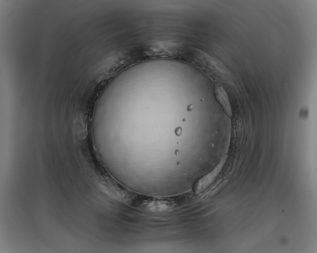 X0000096960751200802151235