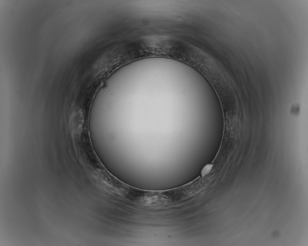 X0000096960752200802151235