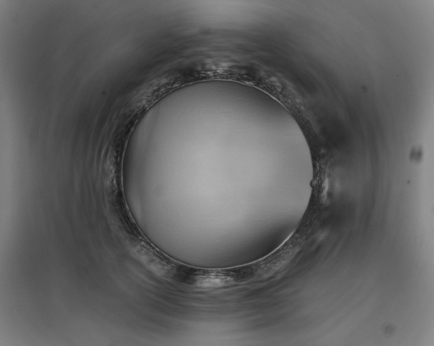 X0000096960754200802151235