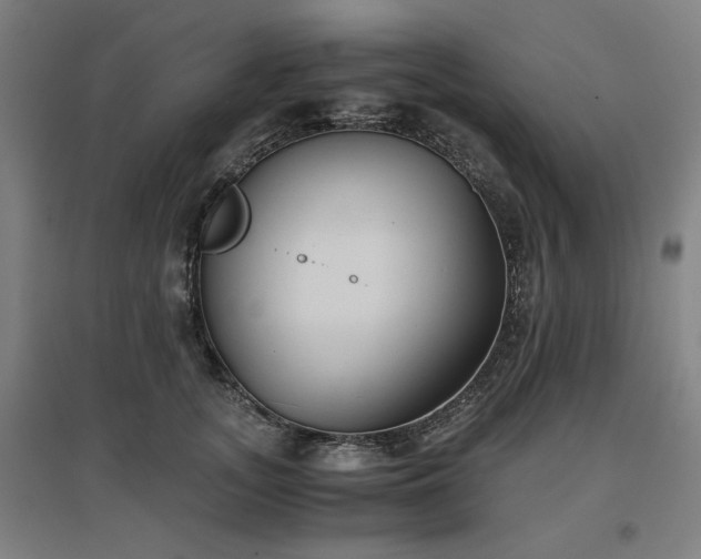 X0000096960755200802151235