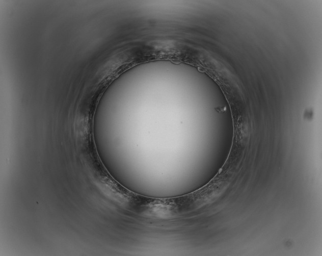 X0000096960756200802151235