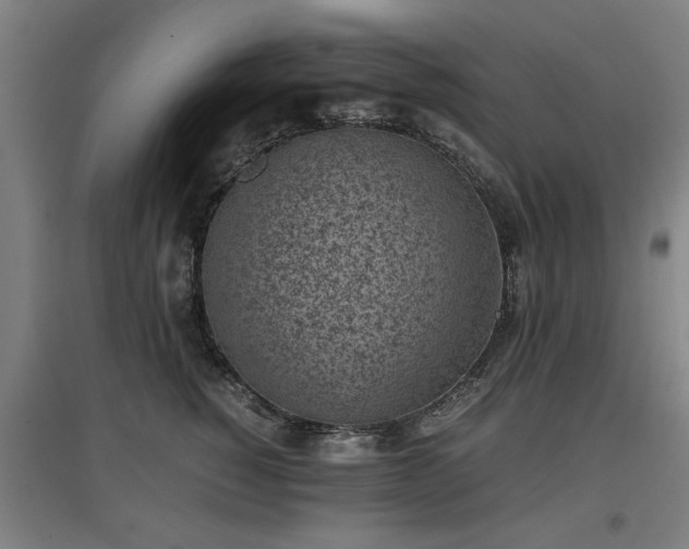 X0000096960760200802151236