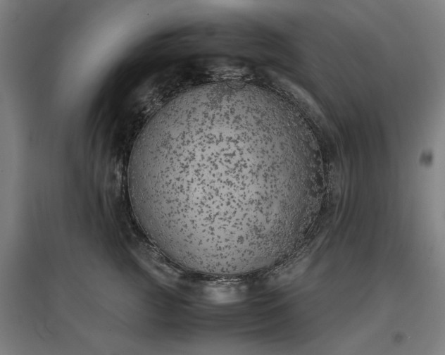 X0000096960761200802151236