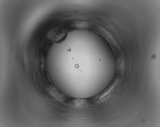 X0000096960762200802151236