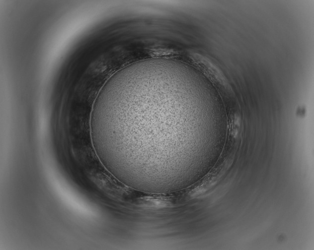 X0000096960763200802151236