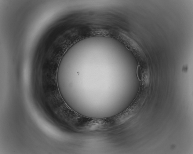 X0000096960764200802151236