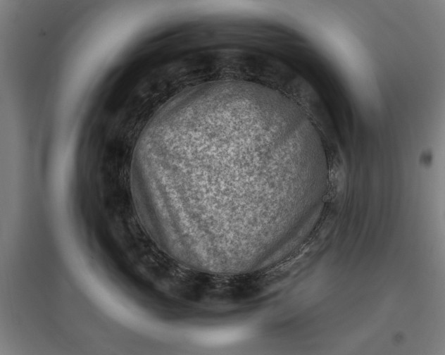 X0000096960765200802151236