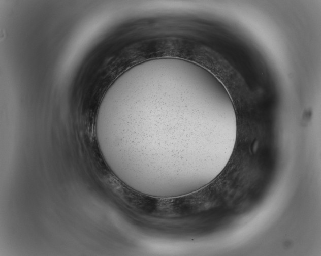 X0000096960766200802151236