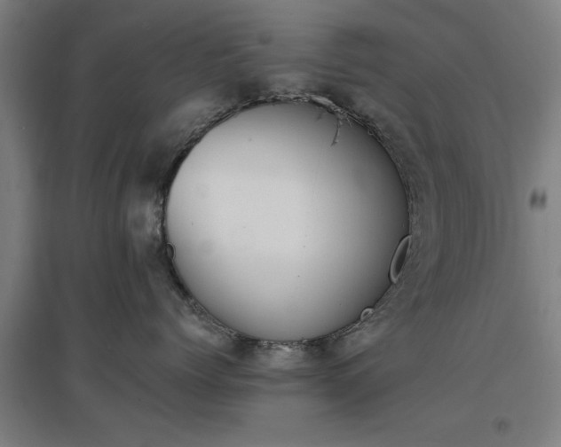 X0000096960768200802151236