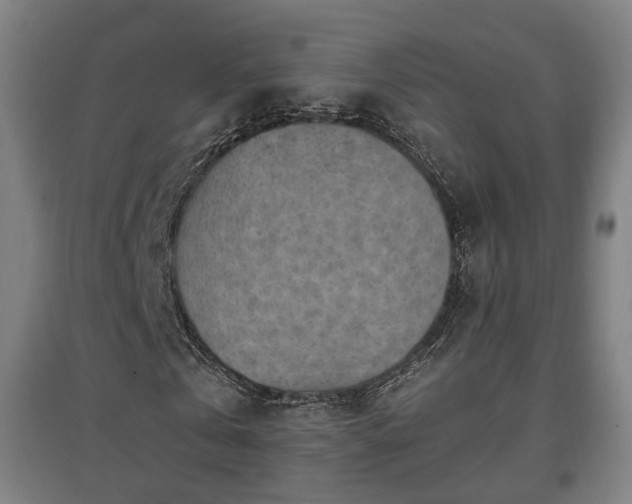 X0000096960769200802151235