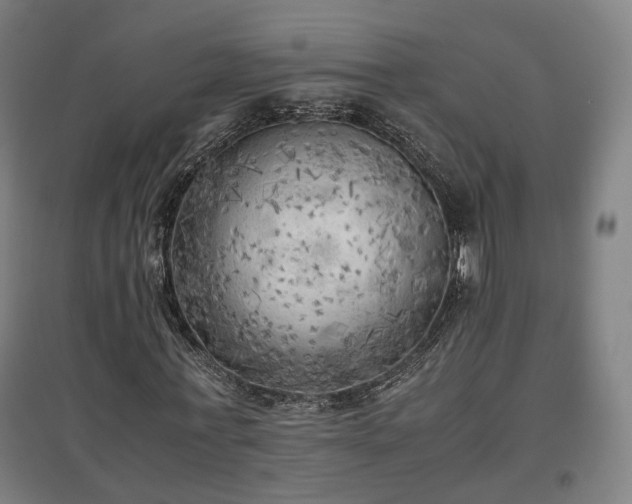 X0000096960771200802151235