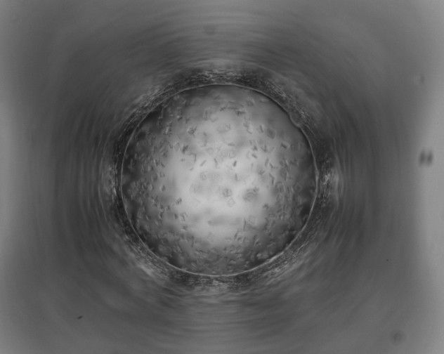X0000096960772200802151235