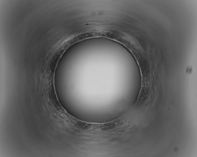 X0000096960773200802151235