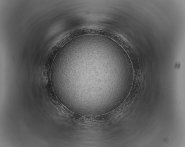 X0000096960774200802151235