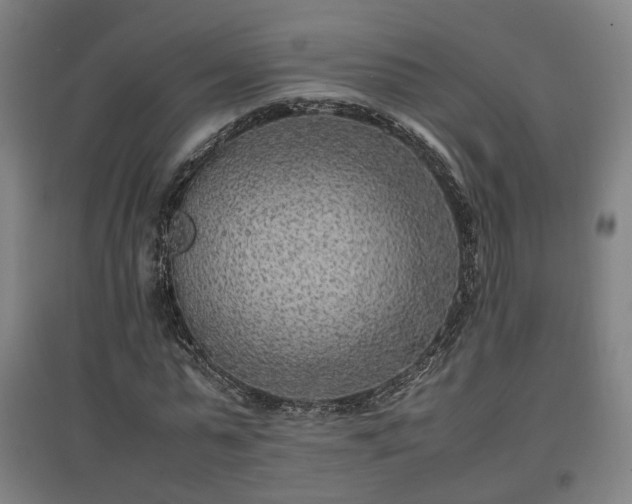 X0000096960775200802151235