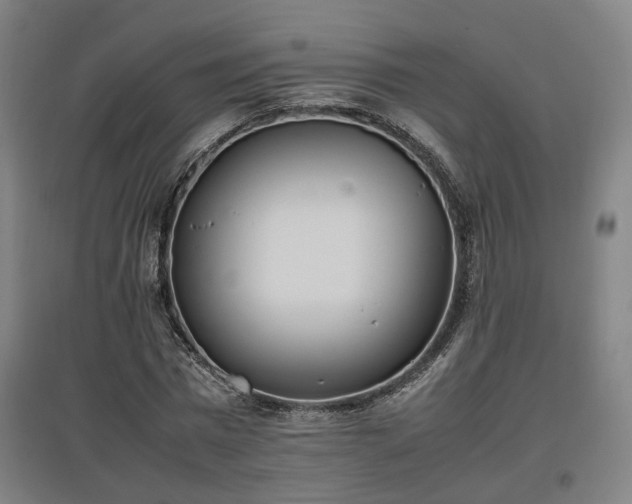 X0000096960777200802151235