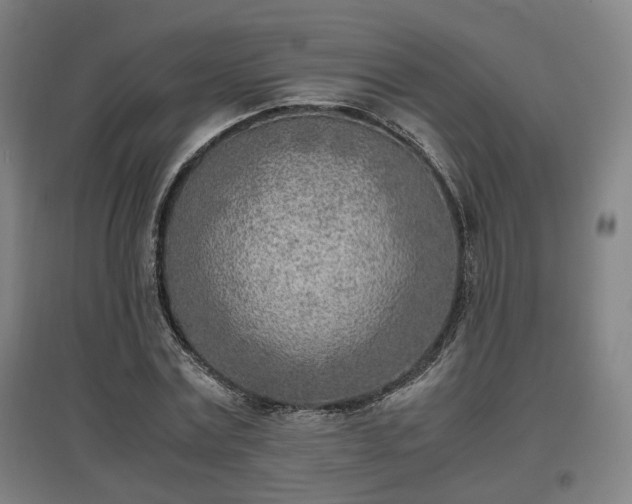 X0000096960779200802151235