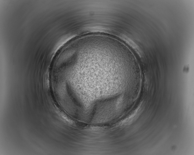 X0000096960782200802151235